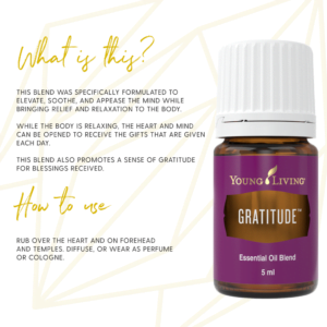 Courage Diffusing Bracelet with Gratitude Essential Oil Blend